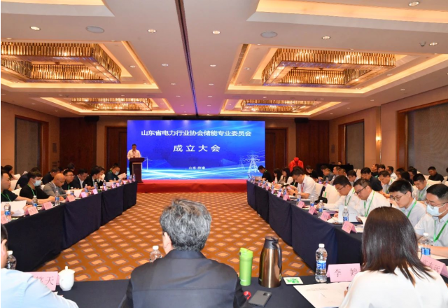 山東省電力行業(yè)協(xié)會(huì )儲能專(zhuān)業(yè)委員會(huì )成立大會(huì )暨儲能領(lǐng)袖峰會(huì )在濟南召開(kāi)